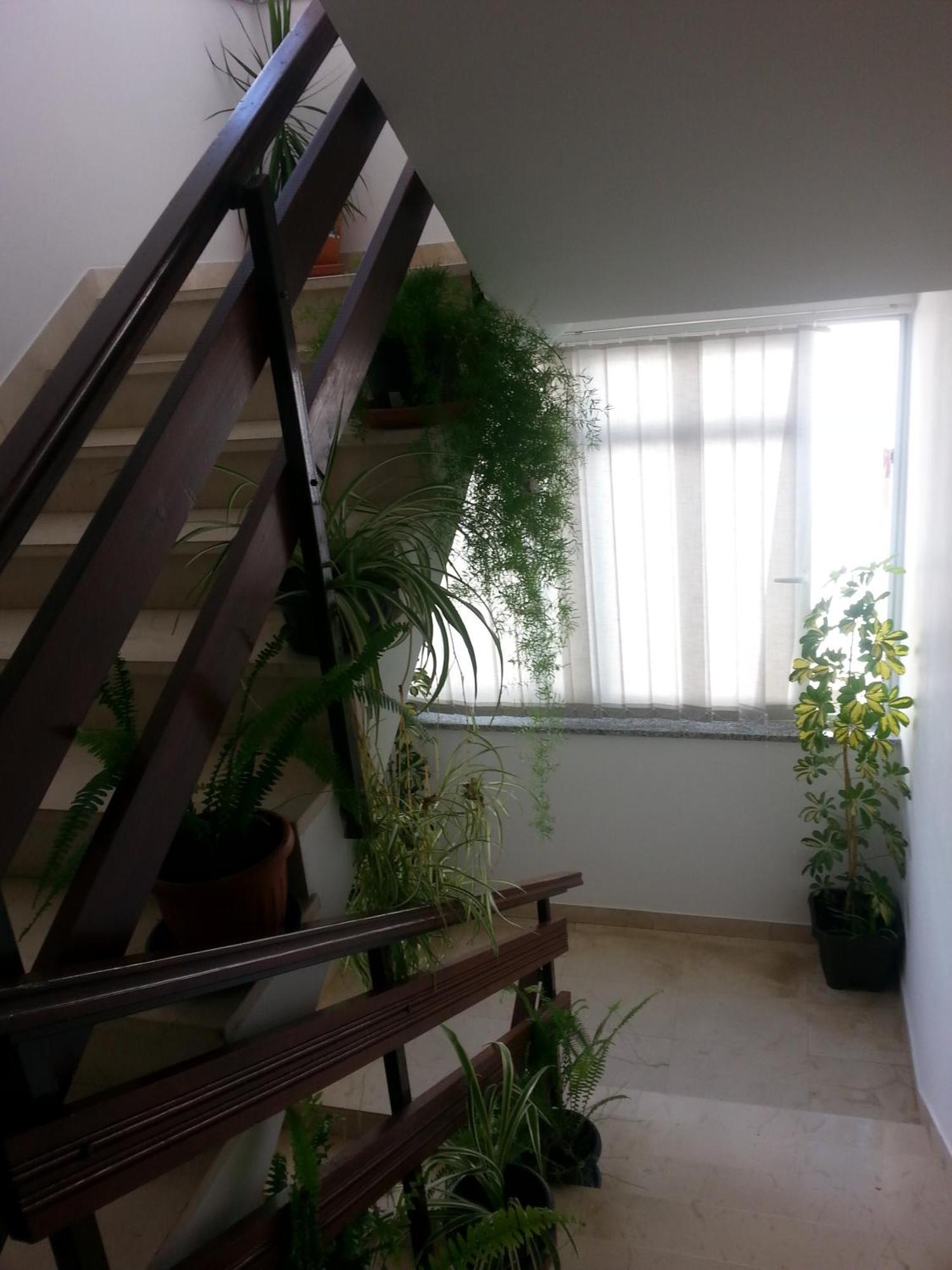 Apartments Roncevic Задар Екстериор снимка
